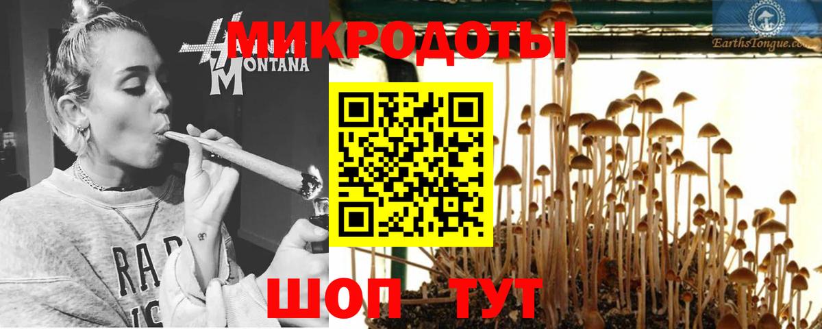 Псилоцибиновые грибы прущие грибы  Вход с VPN  Псилоцибиновые грибы ЛСД  Выкса 