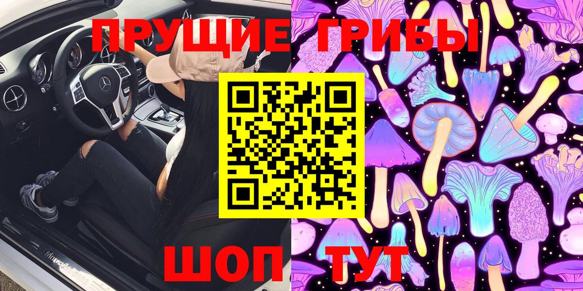 Галлюциногенные грибы Psilocybe Выкса
